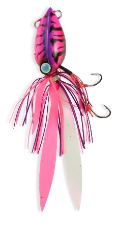 Lucanus Pink Shrimp